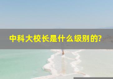 中科大校长是什么级别的?