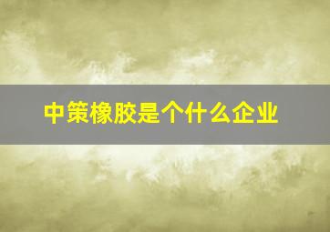 中策橡胶是个什么企业