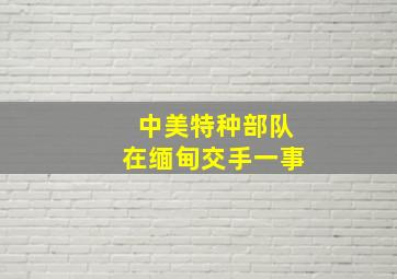 中美特种部队在缅甸交手一事