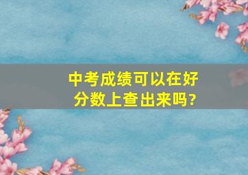 中考成绩可以在好分数上查出来吗?