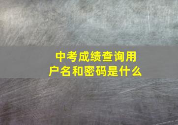 中考成绩查询用户名和密码是什么