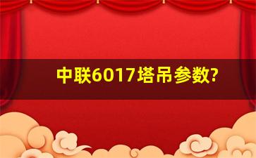 中联6017塔吊参数?