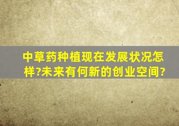 中草药种植现在发展状况怎样?未来有何新的创业空间?