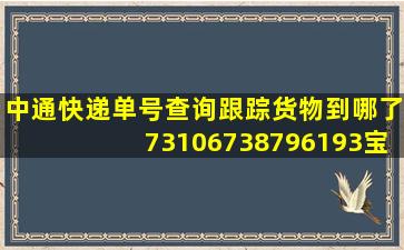 中通快递单号查询跟踪货物到哪了73106738796193宝贝到什么地方