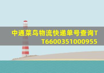 中通菜鸟物流快递单号查询TT6600351000955