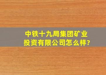 中铁十九局集团矿业投资有限公司怎么样?