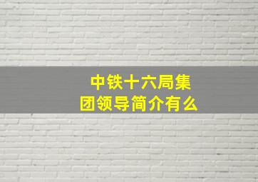 中铁十六局集团领导简介有么