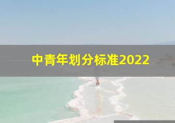 中青年划分标准2022 