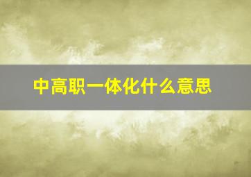 中高职一体化什么意思