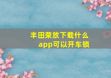 丰田荣放下载什么app可以开车锁