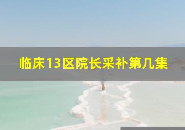 临床13区院长采补第几集