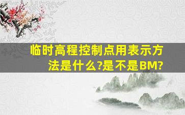 临时高程控制点用表示方法是什么?是不是BM?