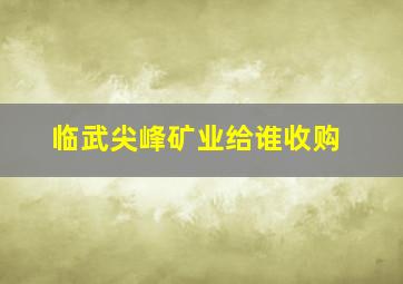 临武尖峰矿业给谁收购