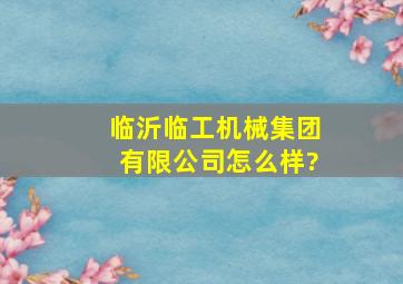 临沂临工机械集团有限公司怎么样?