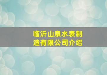 临沂山泉水表制造有限公司介绍(