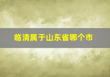 临清属于山东省哪个市