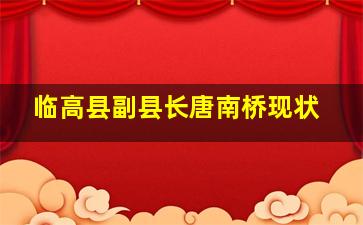 临高县副县长唐南桥现状