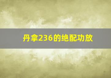 丹拿236的绝配功放