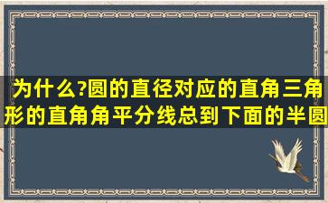 为什么?圆的直径对应的直角三角形的直角角平分线总到下面的半圆