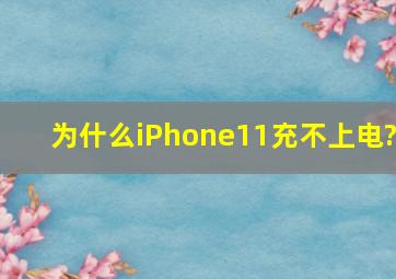 为什么iPhone11充不上电?