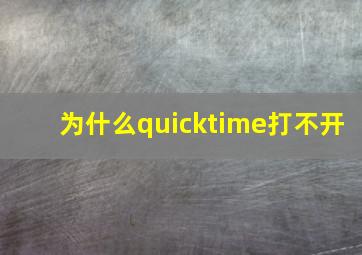 为什么quicktime打不开