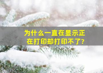 为什么一直在显示正在打印却打印不了?