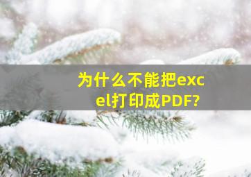 为什么不能把excel打印成PDF?