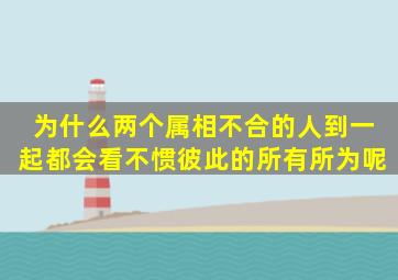 为什么两个属相不合的人到一起都会看不惯彼此的所有所为呢(