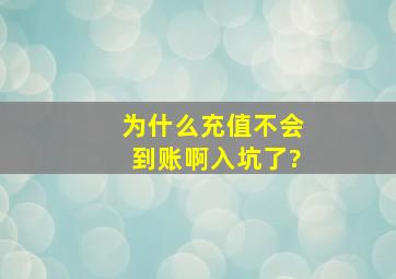 为什么充值不会到账啊,入坑了?