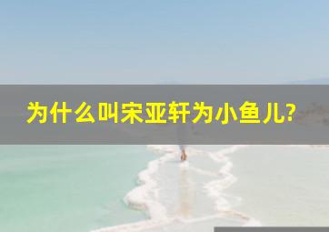 为什么叫宋亚轩为小鱼儿?