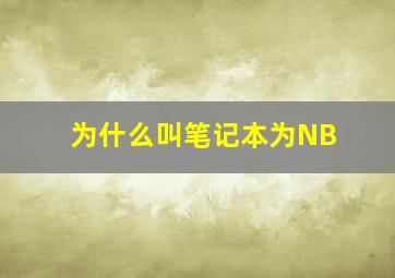 为什么叫笔记本为NB