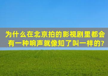 为什么在北京拍的影视剧里都会有一种响声就像知了叫一样的?