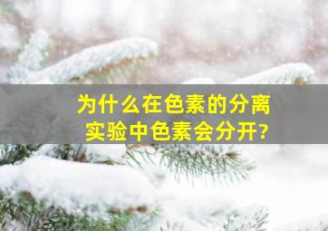 为什么在色素的分离实验中色素会分开?