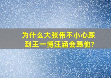 为什么大张伟不小心踩到王一博,汪涵会踢他?