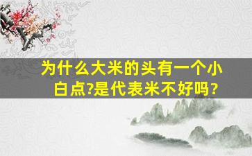 为什么大米的头有一个小白点?是代表米不好吗?