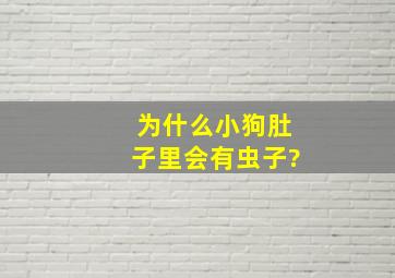 为什么小狗肚子里会有虫子?