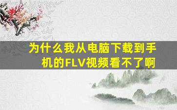 为什么我从电脑下载到手机的FLV视频看不了啊