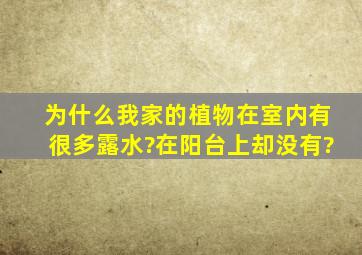 为什么我家的植物在室内有很多露水?在阳台上却没有。。。?