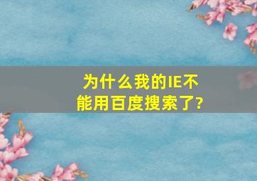 为什么我的IE不能用百度搜索了?