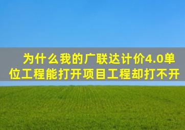 为什么我的广联达计价4.0单位工程能打开,项目工程却打不开