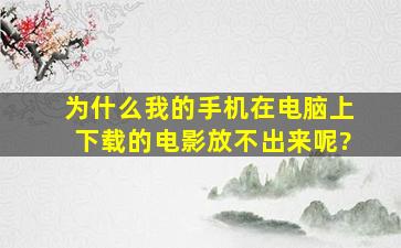 为什么我的手机在电脑上下载的电影放不出来呢?