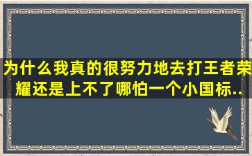 为什么我真的很努力地去打王者荣耀,还是上不了哪怕一个小国标...