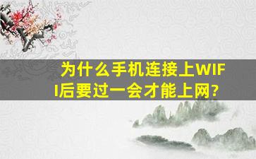 为什么手机连接上WIFI后要过一会才能上网?