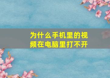 为什么手机里的视频在电脑里打不开(