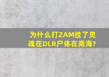 为什么打ZAM挂了,灵魂在DLR,尸体在南海?