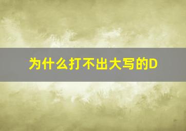 为什么打不出大写的D