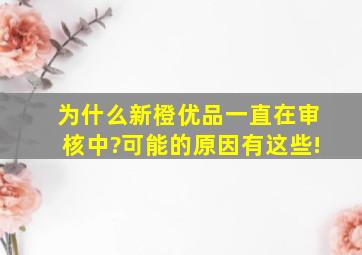 为什么新橙优品一直在审核中?可能的原因有这些!