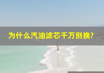 为什么汽油滤芯千万别换?