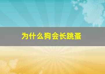 为什么狗会长跳蚤