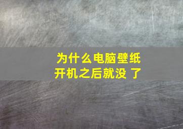 为什么电脑壁纸开机之后就没 了